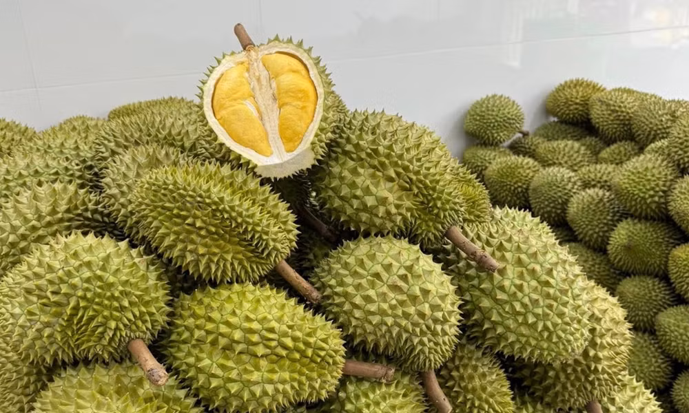 Giá sầu riêng hôm nay 11/8: Đắk Lắk dẫn đầu với mức 90.000 đồng/kg