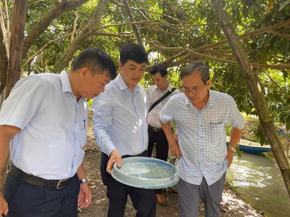 Ông Võ Hải Sơn, Phó Cục trưởng Cục Phòng bệnh kiểm tra công tác phòng chống sốt xuất huyết tại TP Cần Thơ.