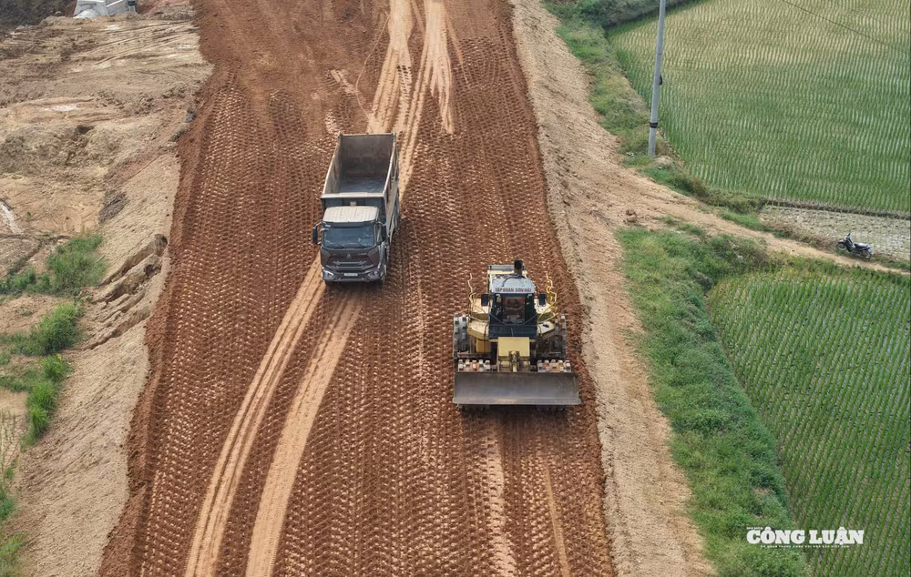 dji_20250814152848_0295_d.jpg