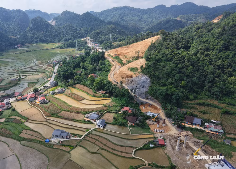dji_20250803144314_0233_d.jpg