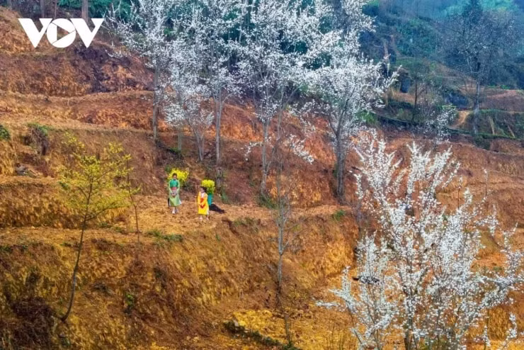 Trẻ em vui chơi trên con dốc Thẩm Mã huyền thoại tại Hà Giang.
