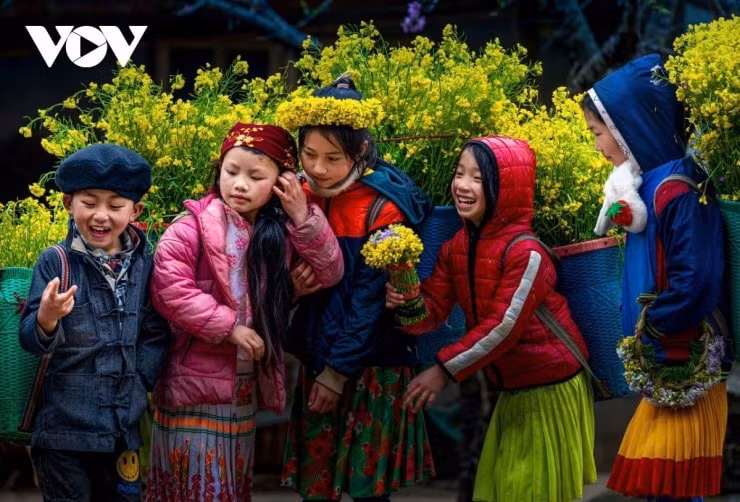 Trẻ em vùng cao mang theo những gùi hoa cải vàng rực rỡ sau lưng.