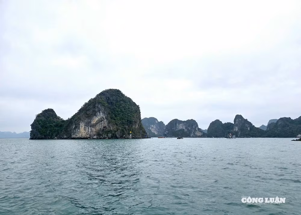 2-vinh-bai-tu-long.jpg