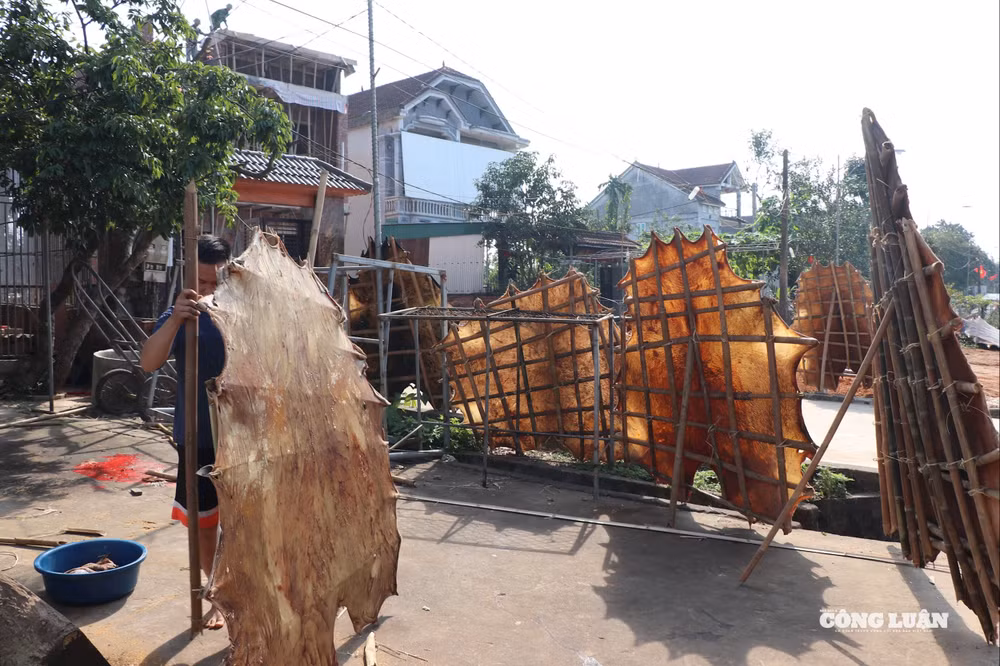 Những tấm da được phơi nắng trước khi làm bề mặt trống