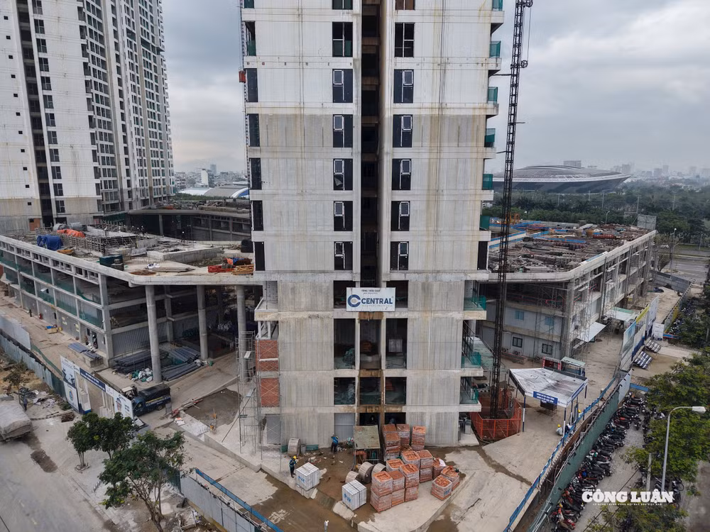 dji_20251230081246_0780_d.jpg