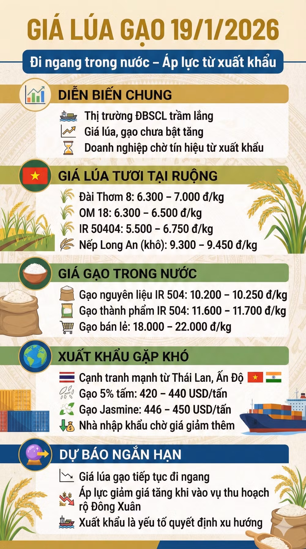 thi truong lua gao hom nay