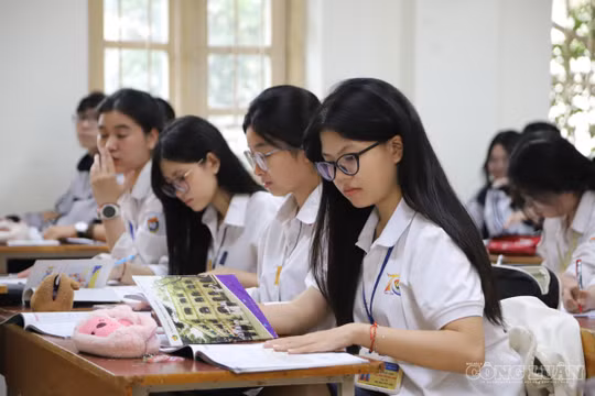 Sắp xếp trường học: Địa phương lo 'bài toán khó' về người và trường