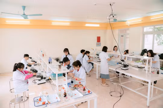 Chính phủ yêu cầu xử lý dứt điểm vụ Đại học Kinh Bắc, bảo đảm quyền lợi sinh viên