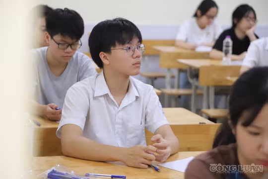 Điểm thi vào lớp 10 năm 2026 bắt đầu được công bố, Nghệ An ghi nhận hơn 500 điểm 10 tiếng Anh