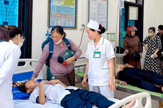 Học sinh hiếu động dùng đá ném tổ ong, 27 em bị đốt phải nhập viện