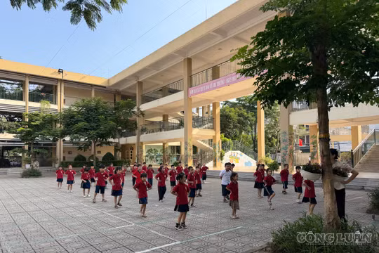 Trẻ ăn bán trú bị ngộ độc thực phẩm cần nhìn nhận khách quan và chờ kết luận chuyên môn