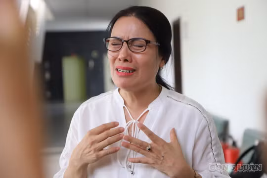 Quy định thu tiền dạy thêm bị bãi bỏ, cựu hiệu trưởng kêu oan tại tòa phúc thẩm