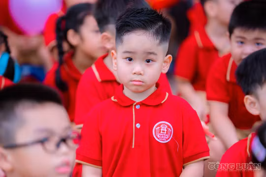 Đề xuất dạy Tiếng Anh bắt buộc từ lớp 1, sớm hơn lộ trình 2 năm
