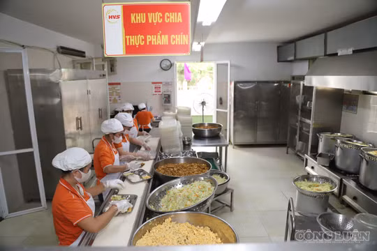 WHO khuyến nghị Việt Nam hạn chế quảng cáo thực phẩm không lành mạnh