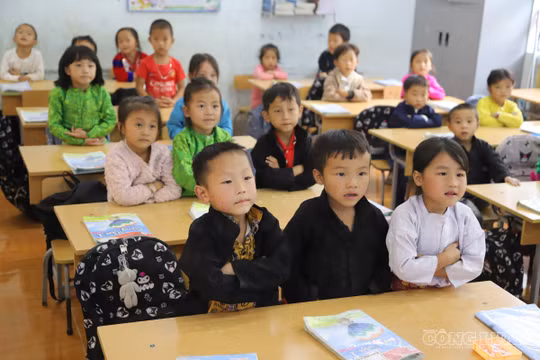 Đề xuất thi tuyển hiệu trưởng thay vì chỉ bổ nhiệm