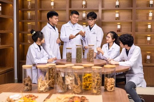 'Đưa y học cổ truyền về gần dân' bằng cơ chế tài chính bảo hiểm y tế