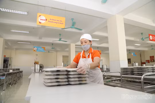 Nhà cung cấp bữa ăn bán trú: Đủ giấy phép, liệu đủ năng lực?