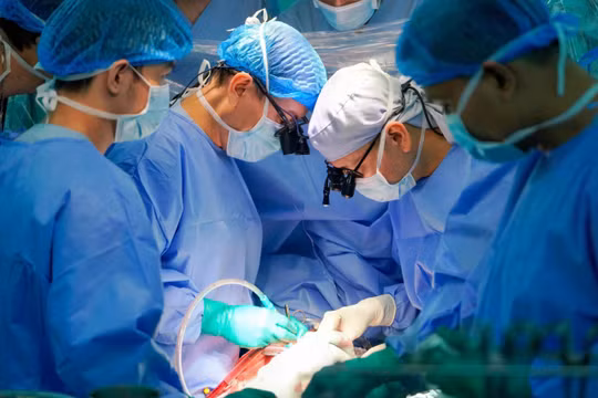 Trẻ chờ ghép tim: Có những bệnh nhi bác sĩ không biết cứu bằng cách nào!