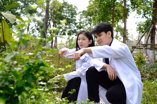 Nghịch lý tại nhiều cơ sở y học cổ truyền 'điều trị Đông y nhưng dùng chủ yếu thuốc Tây'