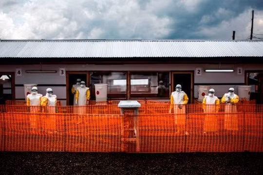Ebola chủng mới chưa có vaccine, đã lan qua biên giới Congo - Uganda
