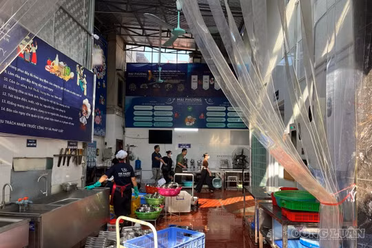 Hà Nội: Xác minh phản ánh thịt trâu Ấn Độ, gà đông lạnh vào bếp ăn trường học trước 16h hôm nay