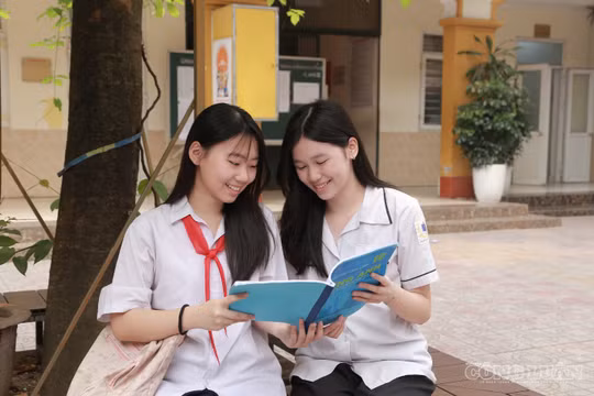 Dạy thêm quá 45 học sinh/lớp sẽ bị xử lý và yêu cầu dừng tổ chức