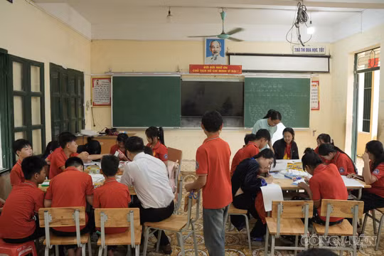 Không quy định tổ chức Hội giảng cấp quốc gia và chu kì bắt buộc