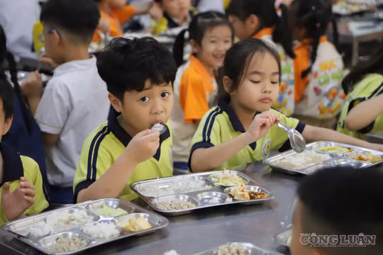 Luật An toàn thực phẩm sau 15 năm: Đã đến lúc phải thay đổi để chặn thực phẩm bẩn từ gốc