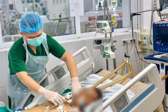 Trở về từ Congo, người đàn ông 46 tuổi hôn mê, suy đa cơ quan vì sốt rét