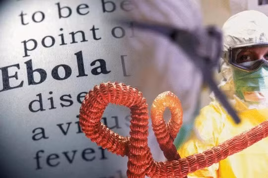 Tỷ lệ tử vong tới 90%, Ebola có thể lây khi ngồi gần người nhiễm trên máy bay?