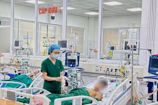 Tự mua thuốc nam trên mạng, nam thanh niên 28 tuổi suy gan cấp, phù não nguy kịch