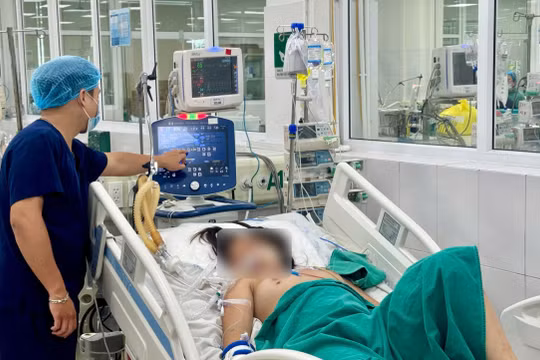 Bé gái 14 tuổi sốc, suy đa tạng vì một vết mò đốt dưới ngực