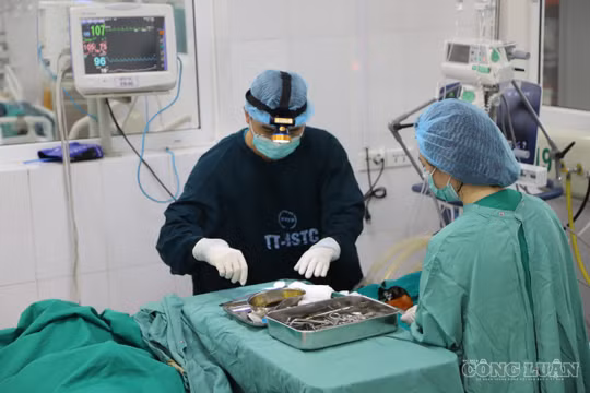 Bỏ bằng chuyên khoa I, II, bác sĩ sẽ học và lấy bằng thế nào?