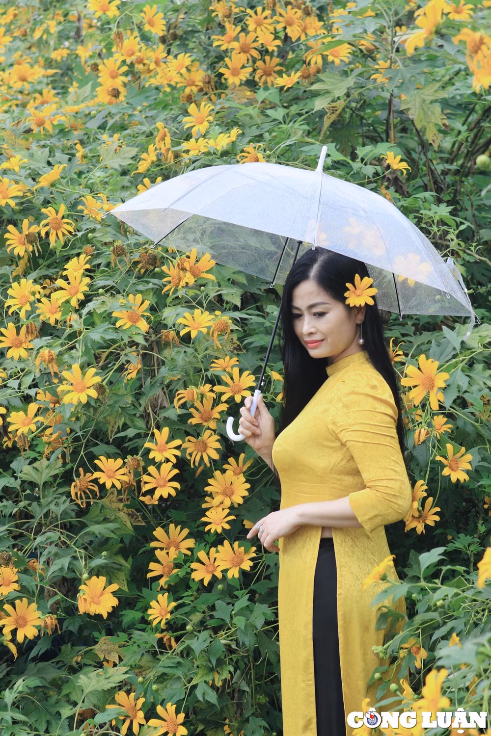xuat hien vuon hoa da quy sieu dep giua trung tam thu do ha noi hinh 3