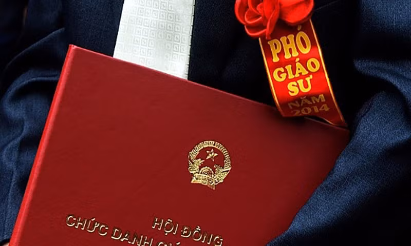 viet nam co them 34 giao su va 349 pho giao su hinh 1