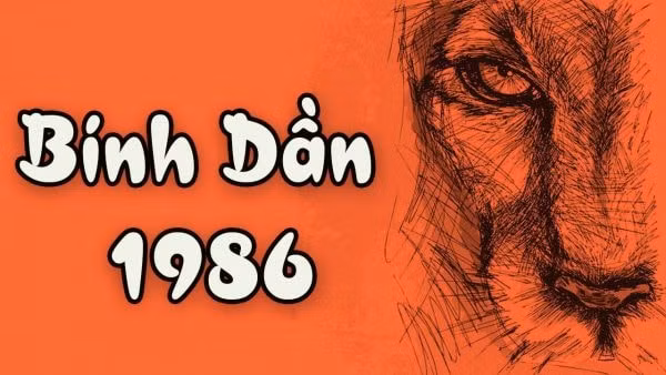 phong thuy bep tuoi binh dan 1998 mang lai suc khoe tai loc hinh 1