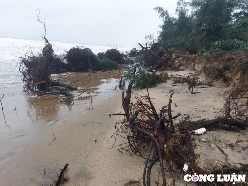 bien xam thuc nuot dan rung phong ho o ha tinh hinh 9