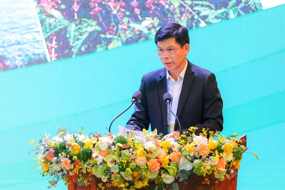 dau tu 156000 ty dong lam duong cao toc danh thuc vung tay nguyen tru phu hinh 1
