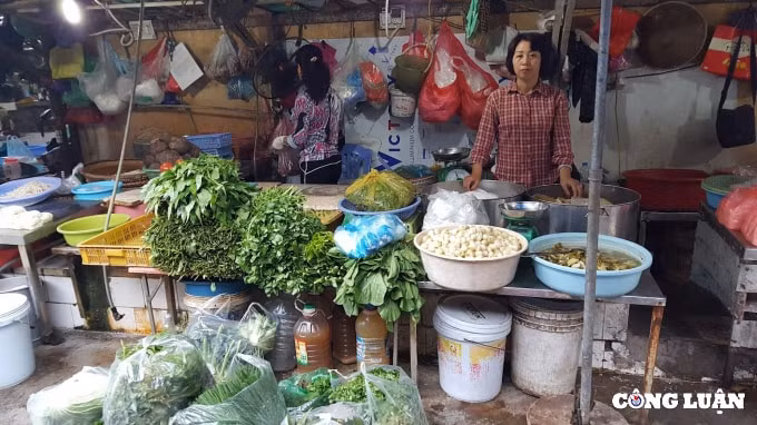 trong 1 thang hanh la rau mui tang gia 6 lan gia rau xanh con dat hon thit hinh 1