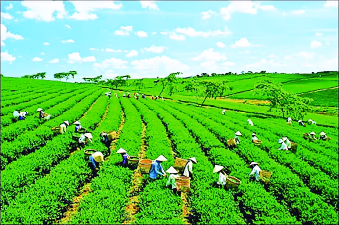 cop26 va cau chuyen tang truong xanh cua viet nam hinh 3