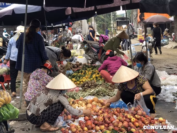 phu tho gung sa chanh chay hang do nguoi dan mua du tru chong covid 19 hinh 4