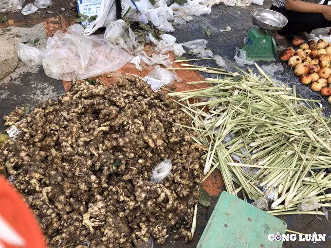 phu tho gung sa chanh chay hang do nguoi dan mua du tru chong covid 19 hinh 1