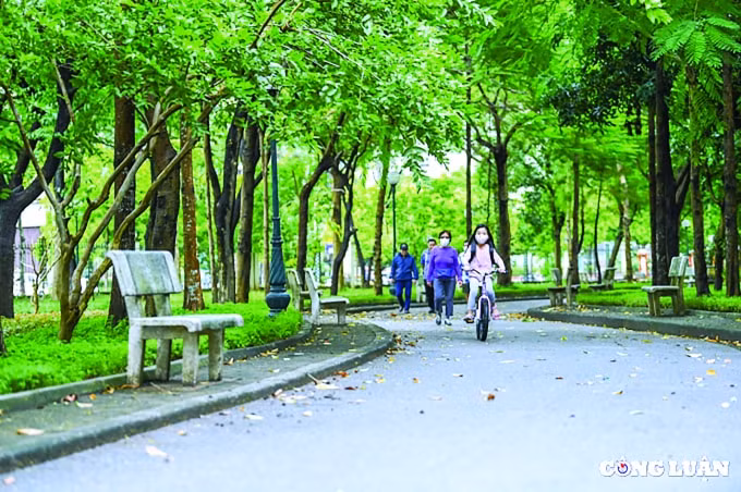 kiem cui ba nam dung thieu mot gio hinh 1