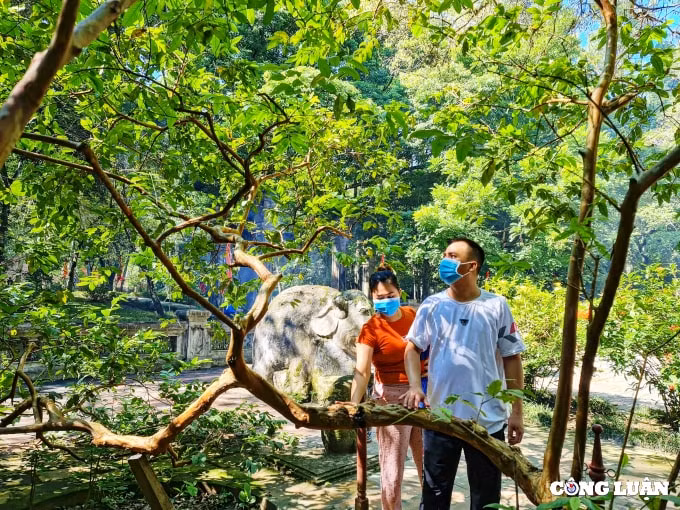 khu di tich lich su lam kinh diem du lich van hoa thu hut du khach hinh 3