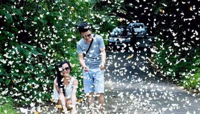cuc phuong doat danh hieu vuon quoc gia hang dau chau a 2021 hinh 1