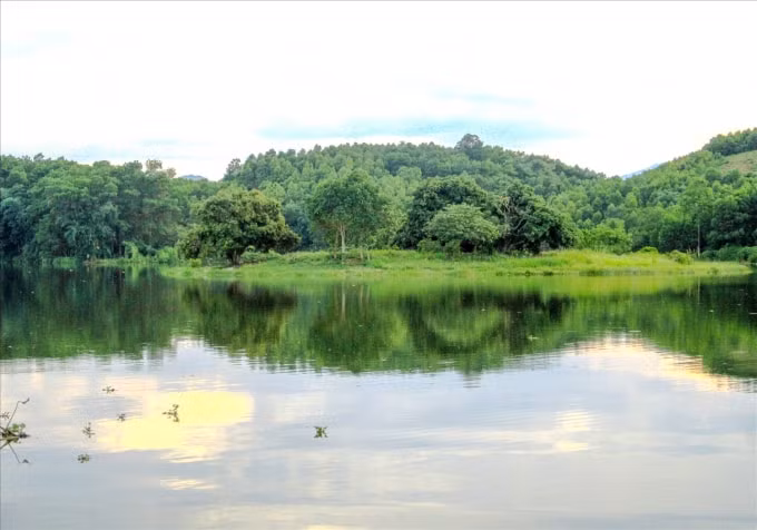 kham pha dam van hoi la phoi xanh noi cua ngo vung tay bac hinh 2
