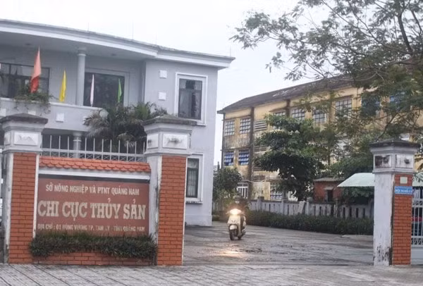chi cuc truong thuy san tinh quang nam bi ky luat cach chuc hinh 1