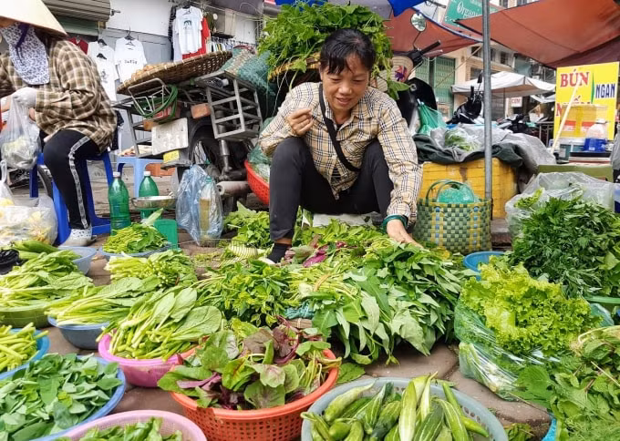 ba noi tro meo mat vi rau xanh tang gia vun vut hinh 1