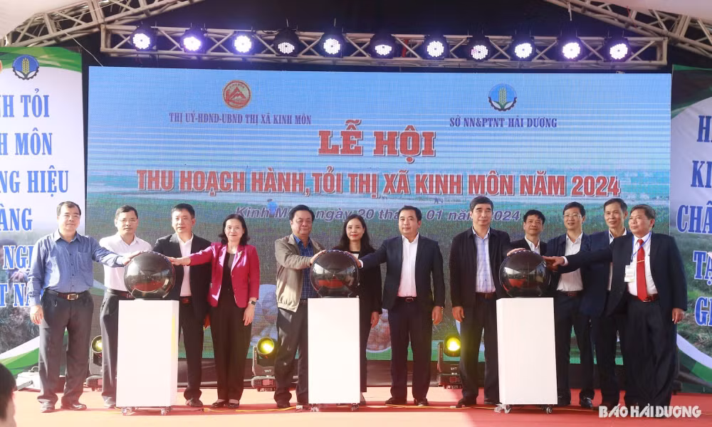 hai duong lan dau to chuc le hoi thu hoach hanh toi hinh 1