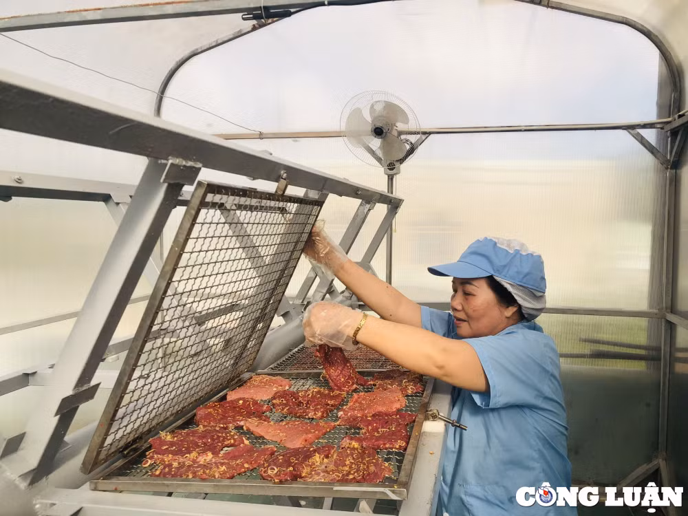 gia lai vung chao lua ron rang che bien dac san tru danh dip tet co truyen hinh 4